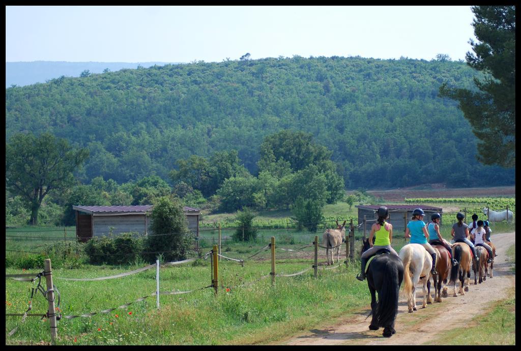 Les Terres De Saint Hilaire Bed & Breakfast Ollières Dış mekan fotoğraf